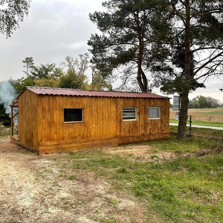 Ubytování v dřevěném mobilheimu Štít Chlumec nad Cidlinou Exterior foto